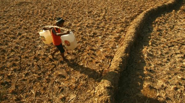 cum se schimba clima in urmatorii 100 de ani canicula in europa seceta in africa si inundatii in insule unele regiuni ar putea deveni de nelocuit