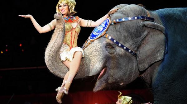 13 noiembrie 2011 imaginile zilei