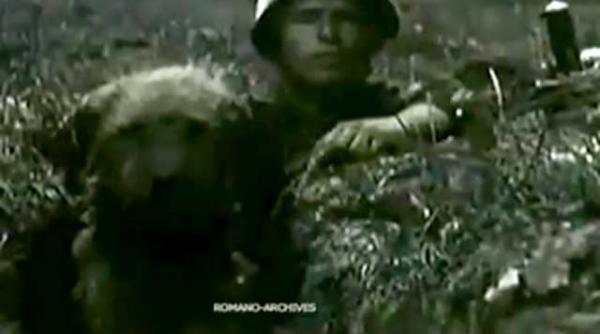 video caini dresati de militarii rusi pentru a detona incarcaturi explozibile in liniile inamice