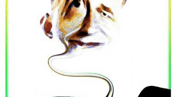 cine joaca pentru basescu ponta geoana sau amandoi