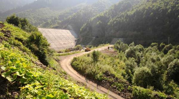 inventarul termitelor care devasteaza padurile romaniei episodul 1 120 000 ha revendicate de urmasii grofilor