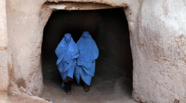 15 noiembrie 2011 imaginile zilei