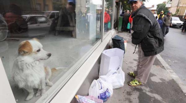 60 din gospodarii in criza