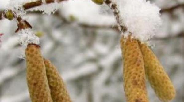 a venit iarna in maramures a nins in localitatile montane iar temperaturile au scazut sub zero grade celsius