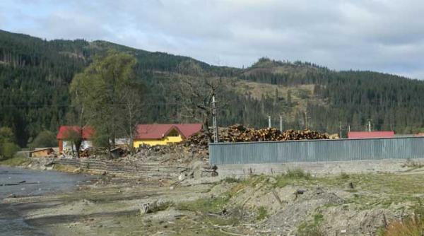 inventarul termitelor care devasteaza padurile romaniei episodul 2 muntii sucevei au cazut prada afaceristilor locali