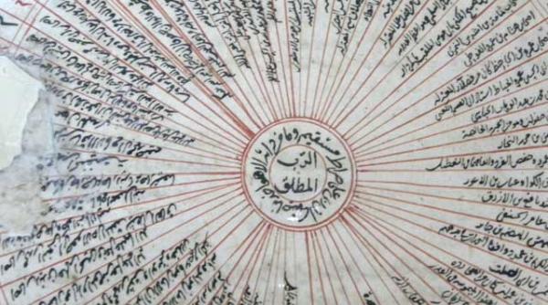 din gromovnic cetire