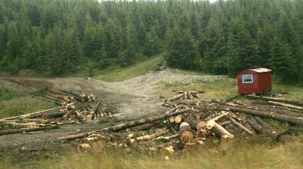 inventarul termitelor care devasteaza padurile romaniei episodul 3 procuratorii protejati de fratia baronilor