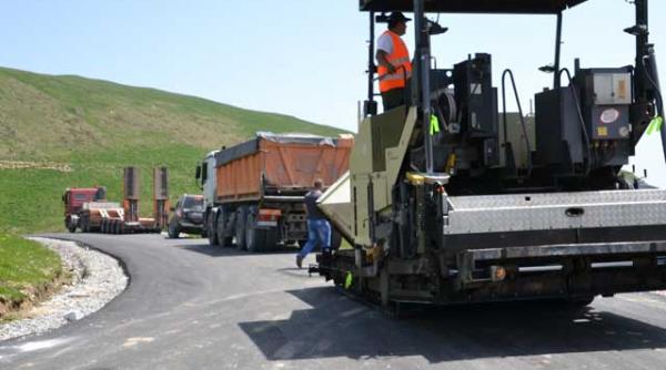 udrea regina contractelor dubioase