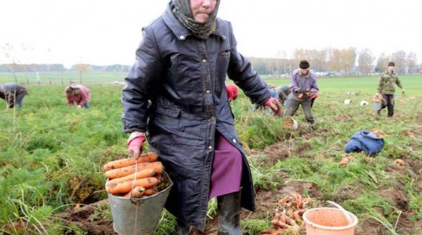 chinezii investesc 10 milioane de euro in agricultura din bulgaria