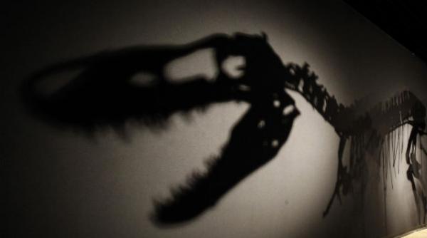 pradatorii de top din mezozoic traiesc si in ziua de azi vezi cine ii manca pe dinozauri