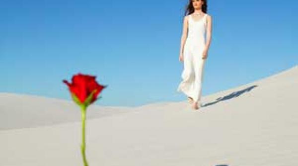 trandafirul celorlalti