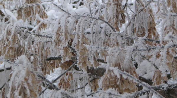 ceata burnita si chiciura raman la putere pana vineri vezi prognoza meteo pe trei zile