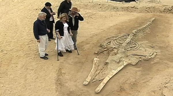 descoperirea care i a uimit pe cercetatori cimitir de balene in desert foto