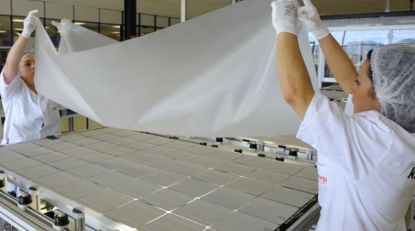 coface reduce prognoza de crestere economica la 2