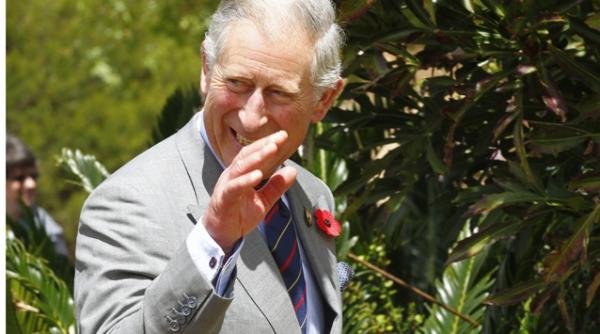 daily mail printul charles ar putea deveni in sfarsit rege al romaniei