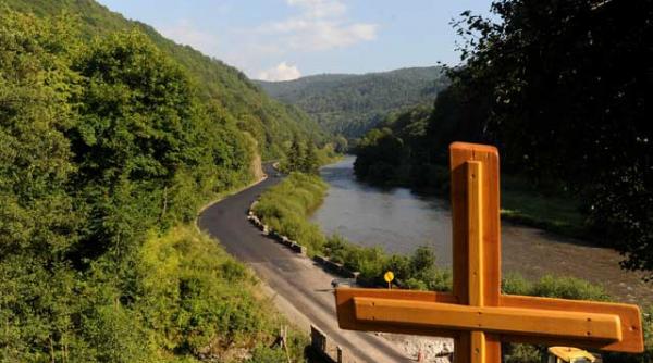 inventarul termitelor care devasteaza padurile romaniei episodul 6 topoarele unguresti au cozi romanesti