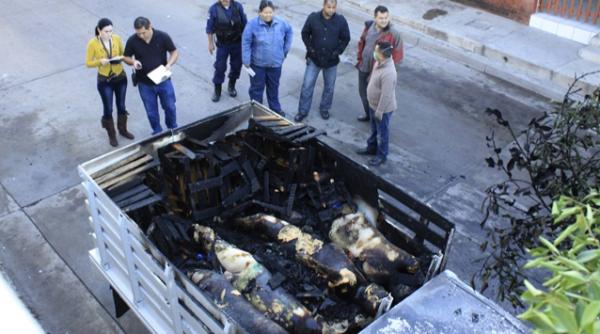 o noua zi neagra in mexic 20 de cadavre legate descoperite in trei masini abandonate