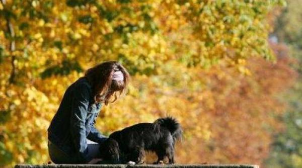 vremea ramane rece mai ales in sudul si estul tarii vezi prognoza pe trei zile