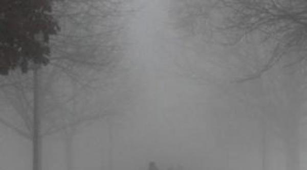 cod galben de ceata in sud vestul munteniei si in sudul moldovei