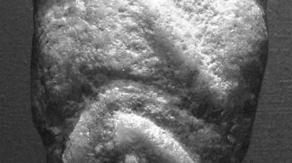 o lume in o suta de obiecte