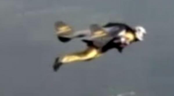 premiera yves rossy omul cu aripi cu propulsie a zburat deasupra alpilor elvetieni video