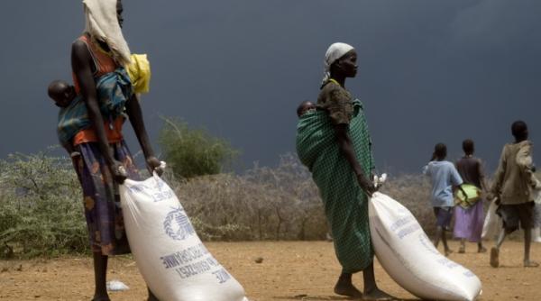 28 noiembrie 2011 imaginile zilei