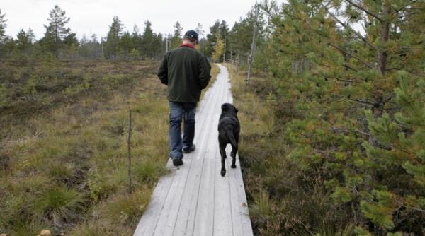 sanatatea mintala a unei natii poate fi afectata de incertitudinile politice studiu