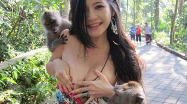 doi macaci au dezbracat la propriu o turista intr un parc natural din indonezia