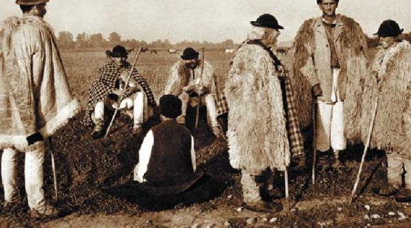 despre legea tarii a firii a pamantului si a omeniei