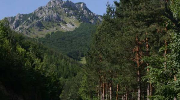 parcul national domogled devastat de un puternic incendiu