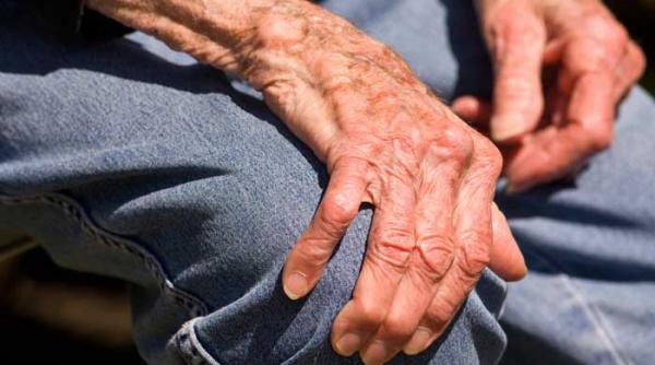 vraiste in circuitele nervoase