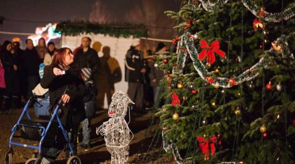 11 000 de beculete in bradul de craciun de la crangasi