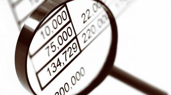 380 000 de contribuabili sunt inregistrati ca platitori de tva desi se afla sub plafonul legal