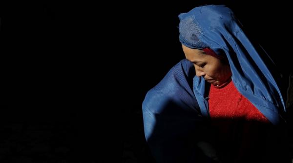 5 decembrie 2011 imaginile zilei