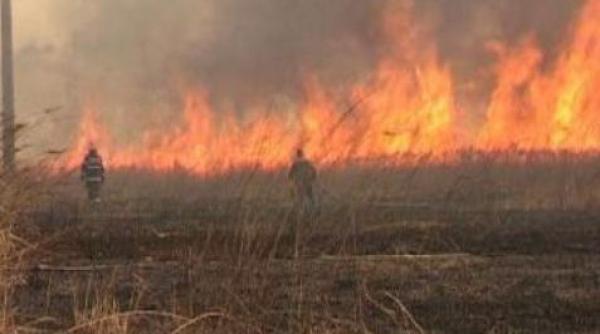 sute de hectare de vegetatie ard la caras severin