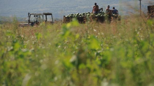 agricultura industria si constructiile au sustinut economia dar minunea nu va tine si in 2012