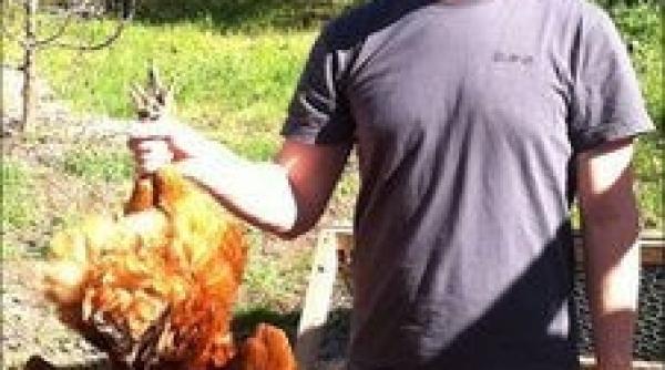 hackerii au spart contul de facebook al fondatorului retelei de socializare 14 poze infatisandu l pe mark zuckerberg au circulat la liber pe net