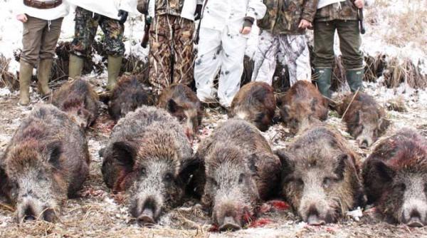 costume de camuflaj elite lase si vidanjori