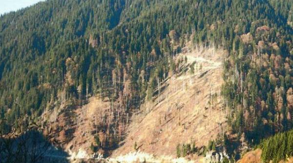 verdictul academiei jaf in parcul national retezat au fost identificati gandacii cu doua picioare care distrug ecosistemul forestier