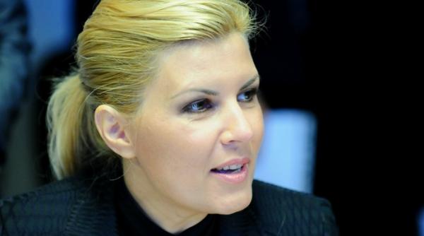 elena udrea ma asteptam la o solutie de condamnare in cazul adrian nastase