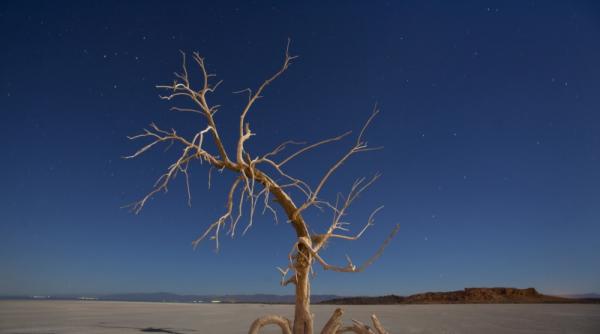 imaginile anului 2011 partea intai