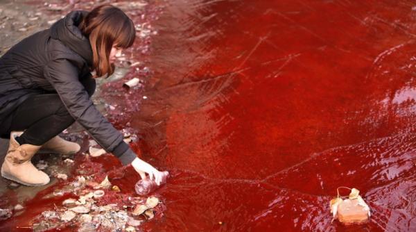 16 decembrie 2011 imaginile zilei