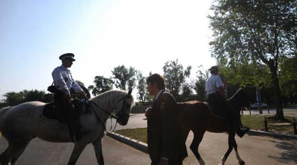 dar cu caii ce or avea serviciul de paza calare disputat in sedinta consiliului general al capitalei