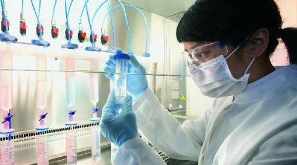 posibila arma biologica de distrugere in masa olandezii au creat o tulpina mortala a virusului gripei aviare