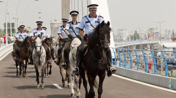 politia locala isi apara cavaleria nu se pune problema unei lipse de cadru legal