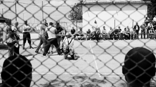 barbat injunghiat cu un pix in arestul ipj constanta