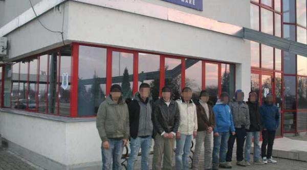 africanii ne calca pe recolte