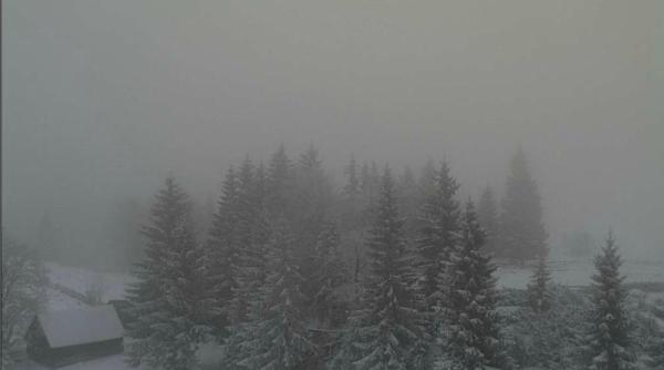 avertizare de ceata densa pentru capitala si sudul tarii vizibilitate redusa si sub 50 de metri vezi starea vremii pe webcam jurnalul ro