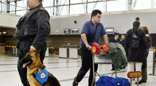 barbat arestat pentru ca a incercat sa zboare cu un bagaj in care erau 247 de animale printre care si serpi veninosi