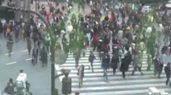 cea mai aglomerata zebra din lume vezi cum traverseaza zeci de persoane fara a se crea incidente video